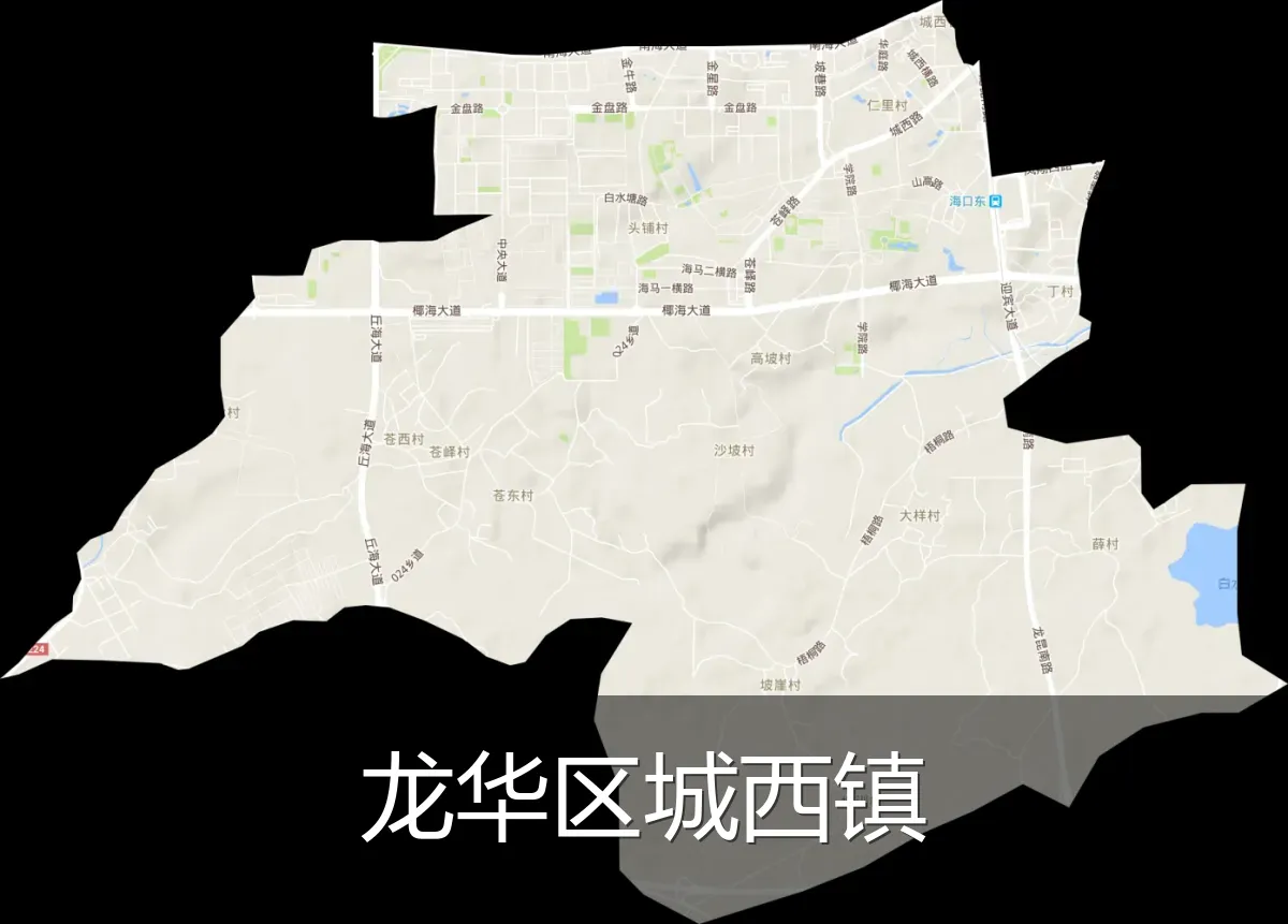 龙华区城西镇